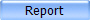 Report